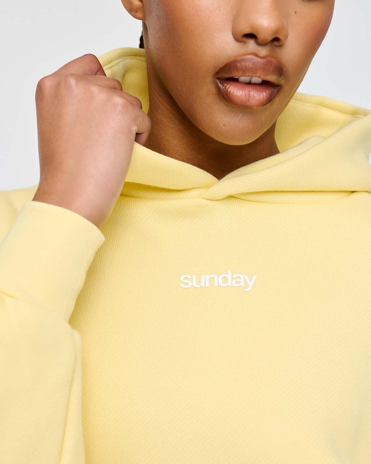 heavyweight simple hoodie