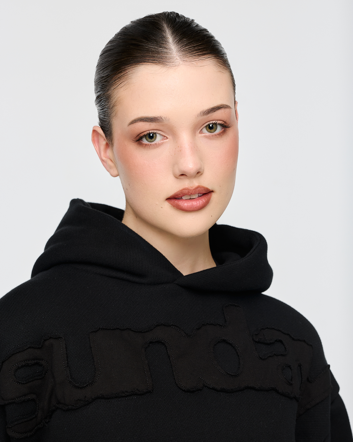 heavyweight billboard hoodie
