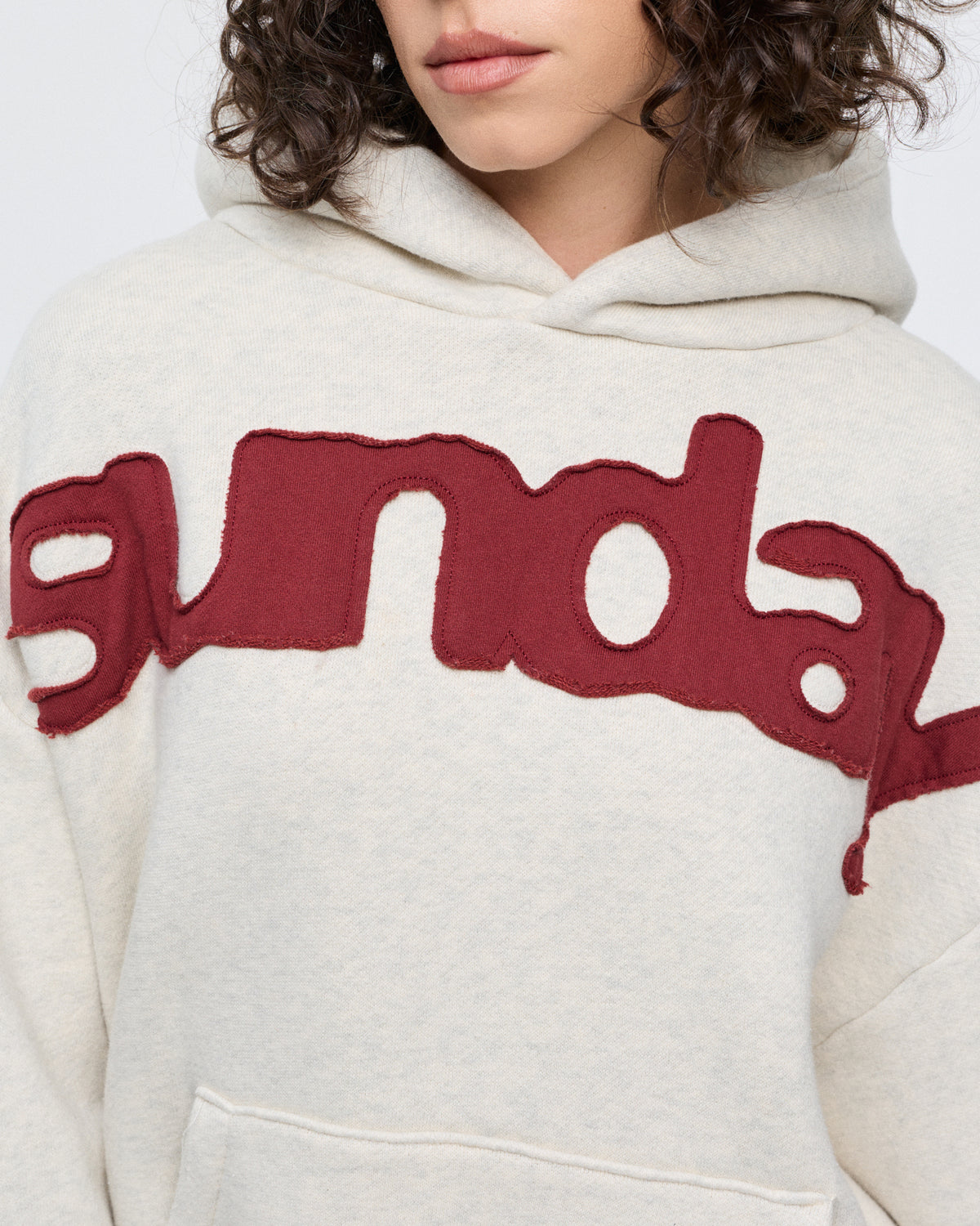 heavyweight billboard hoodie