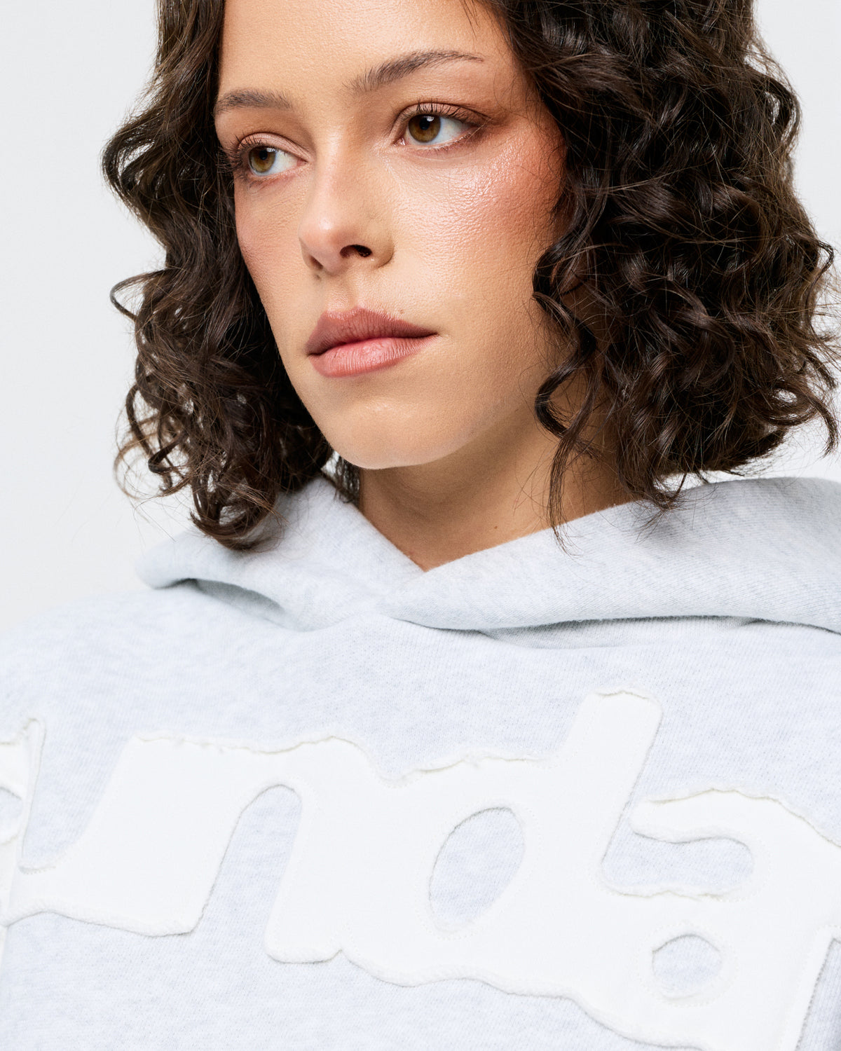 heavyweight billboard hoodie