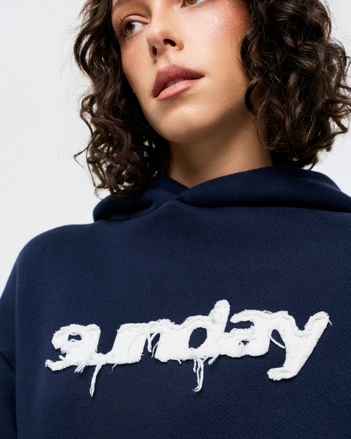 heavyweight appliqué hoodie