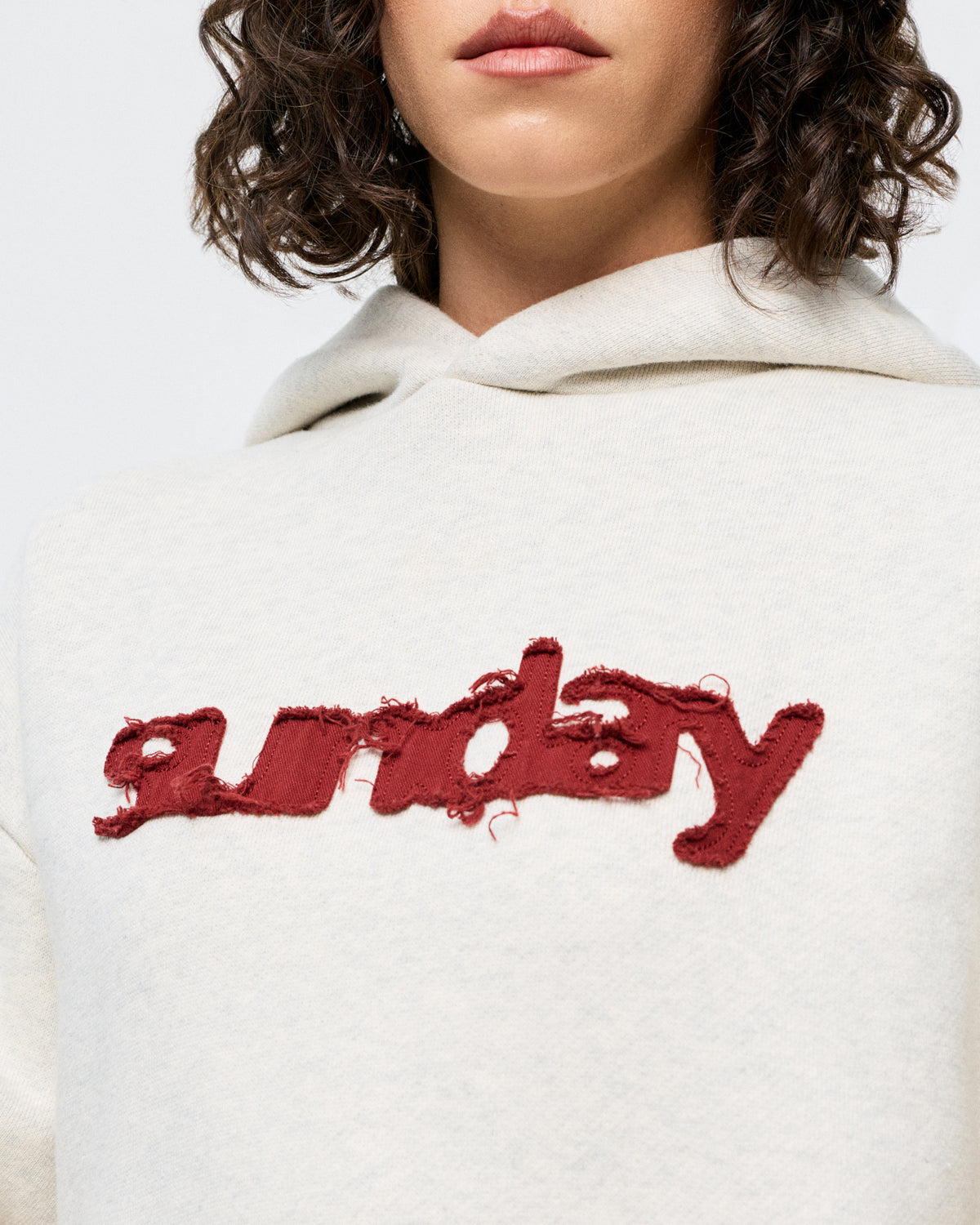 heavyweight appliqué hoodie