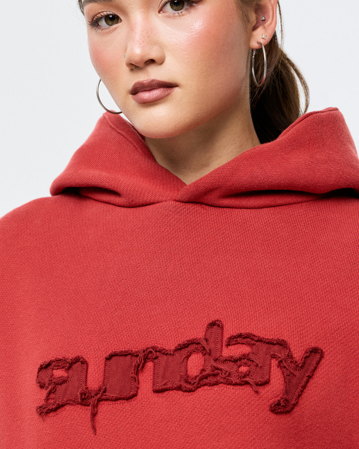 heavyweight appliqué hoodie
