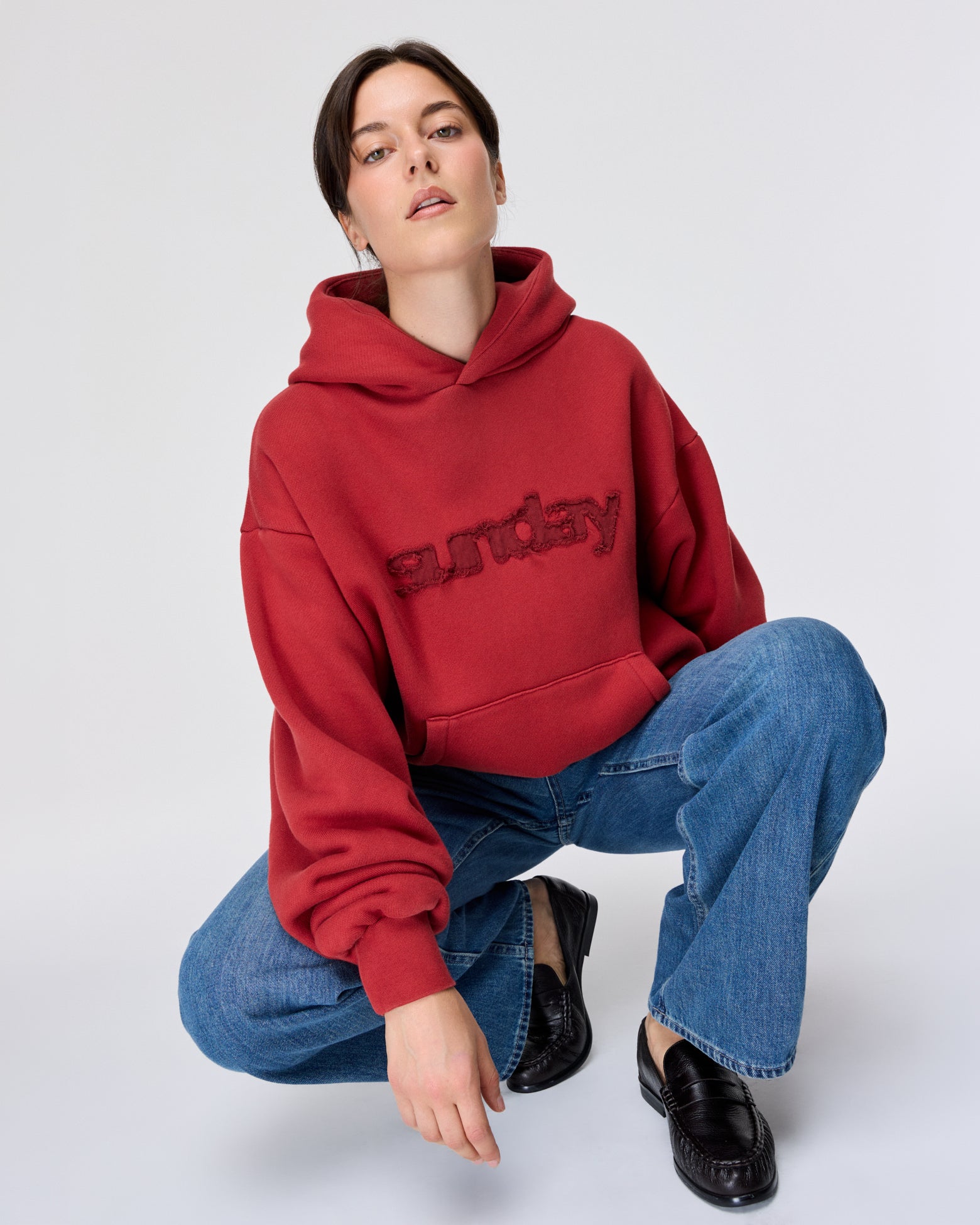 heavyweight appliqué hoodie