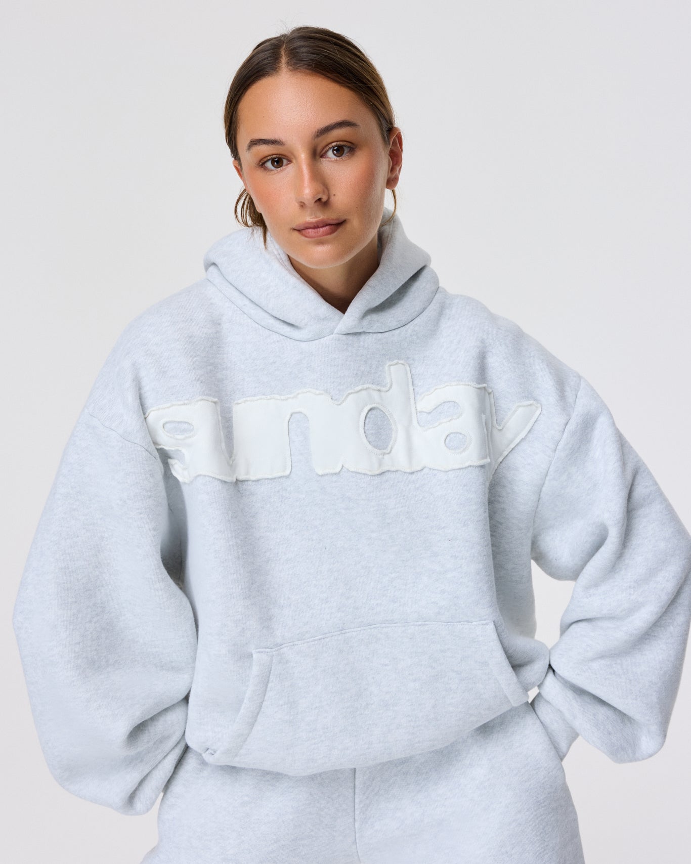 heavyweight billboard hoodie