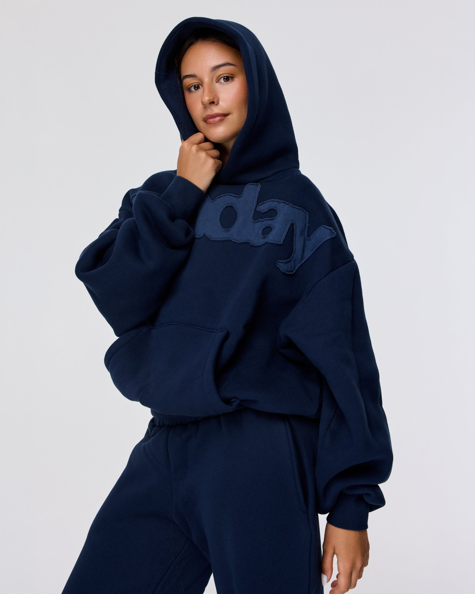 heavyweight billboard hoodie