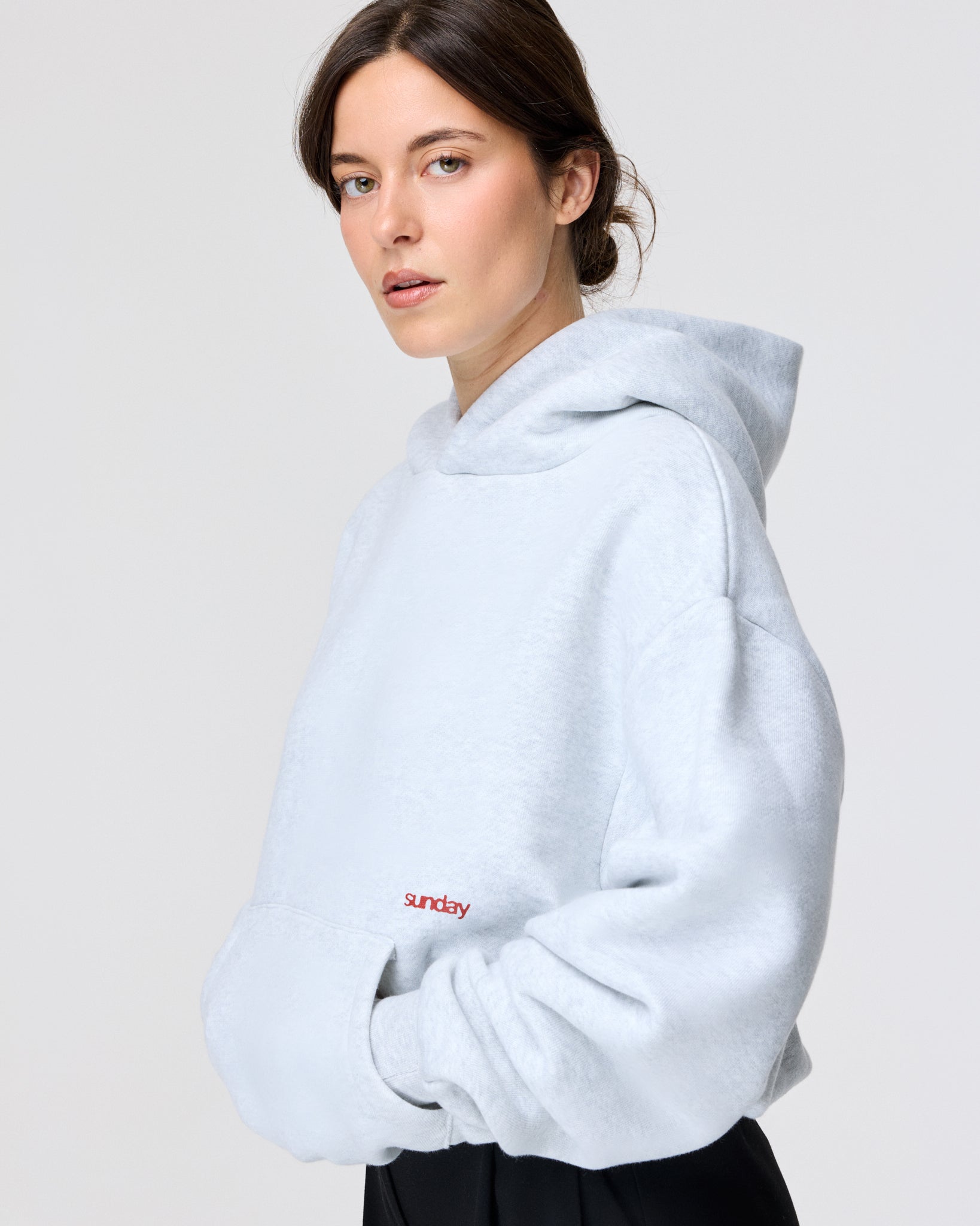 heavyweight script hoodie